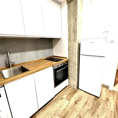 2 Logelako Apartamentu Zabala *